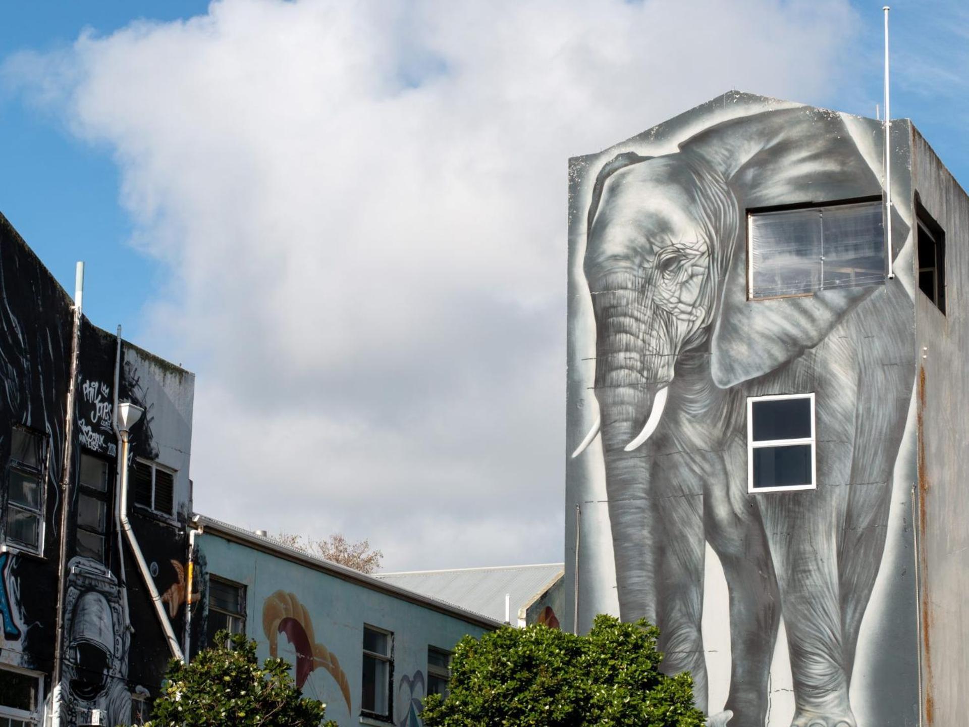 Stay Central The Penthouse New Plymouth Buitenkant foto